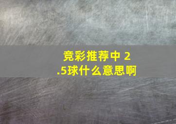 竞彩推荐中 2.5球什么意思啊